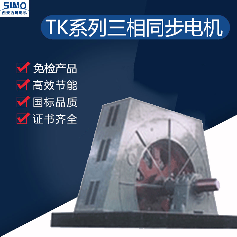 TKK系列同步電機(jī)