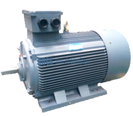 記錄一次YE2高效節(jié)能電機維修和保養(yǎng)過程