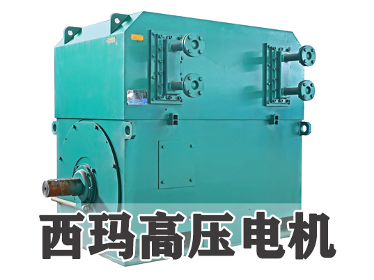 西安西瑪電機廠家：五種常見高壓電機故障及現(xiàn)場檢修方法